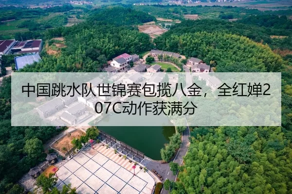 中国跳水队世锦赛包揽八金，全红婵207C动作获满分