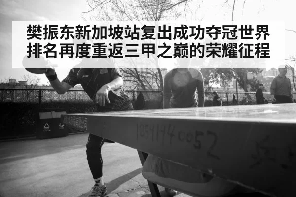 樊振东新加坡站复出成功夺冠世界排名再度重返三甲之巅的荣耀征程