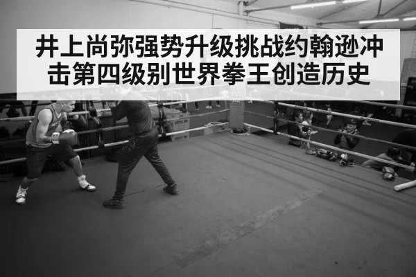 井上尚弥强势升级挑战约翰逊冲击第四级别世界拳王创造历史