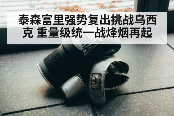 泰森富里强势复出挑战乌西克 重量级统一战烽烟再起
